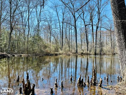 Hunting Land in Middlesex County, Virginia