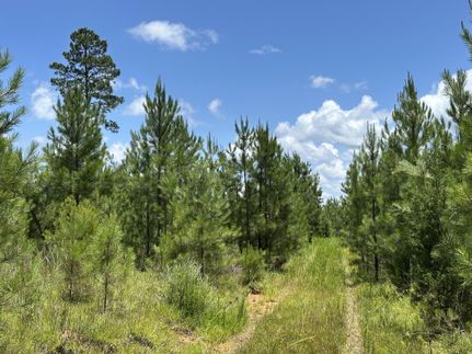 Recreational Property for sale in Edgefield County, South Carolina