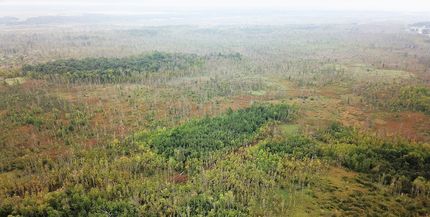 Hunting Land for sale in Otter Tail County, Minnesota