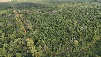 Timberland Property for sale in Ashley County, Arkansas