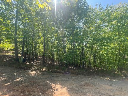 Timberland Property for sale in Clay County, North Carolina