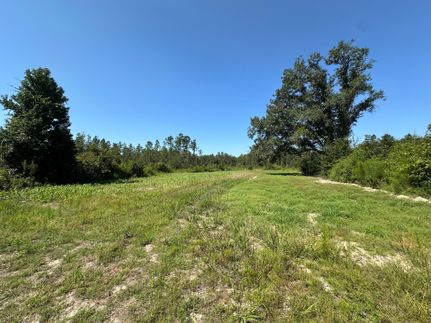 Hunting Land for sale in Washington County, Alabama