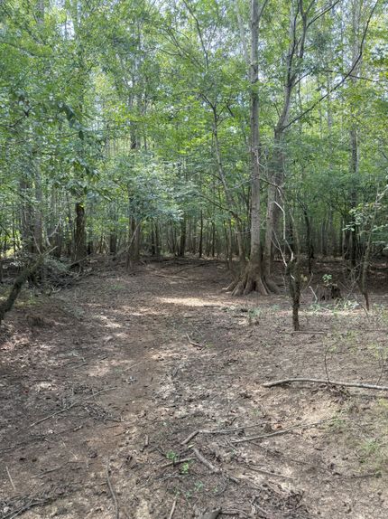 Farm Property for sale in Jackson Parish, Louisiana