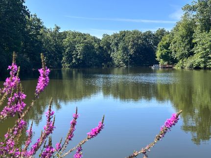 Waterfront Property for sale in Cumberland County, Illinois