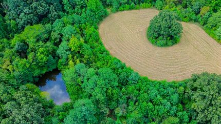 Undeveloped Land for sale in Craighead County, Arkansas