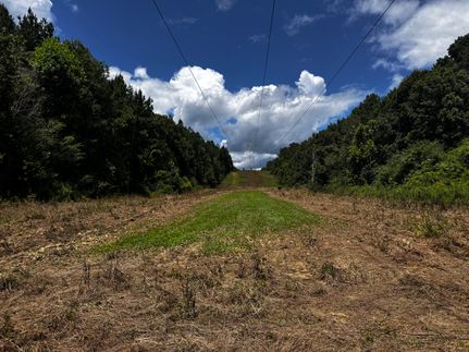 Property for sale in Shelby County, Alabama