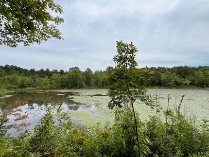 Property for sale in Tippah County, Mississippi