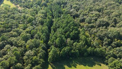 Recreational Property for sale in Polk County, Arkansas