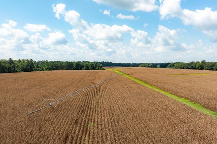 Property for sale in Calhoun County, Georgia