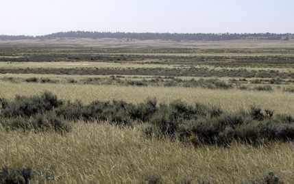 Farm Property for sale in Yellowstone County, Montana