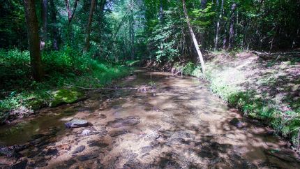 Farm Property for sale in Caldwell County, North Carolina