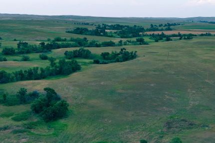 Ranch Property for sale in Fallon County, Montana