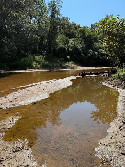 Recreational Property for sale in Newton County, Mississippi