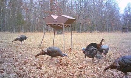 Property for sale in Randolph County, Arkansas