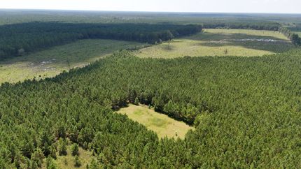 Ranch Property for sale in Williamsburg County, South Carolina