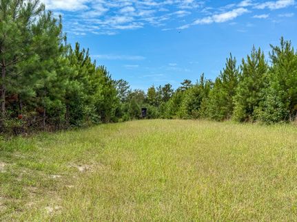 Ranch Property for sale in Williamsburg County, South Carolina