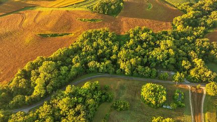 Farm Property in Buchanan County, Missouri