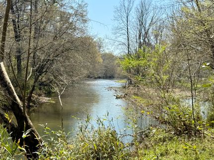 Undeveloped Land in Calhoun County, Alabama