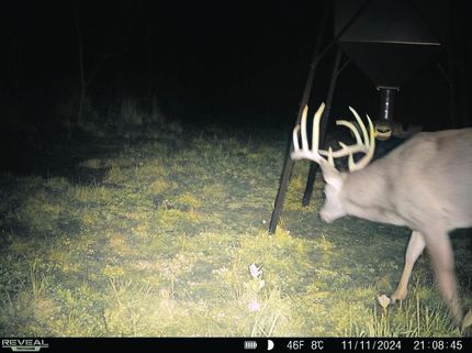 Farm Property for sale in Gallia County, Ohio