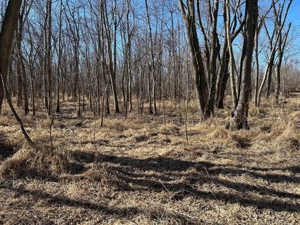 Undeveloped Land for sale in Rock Island County, Illinois