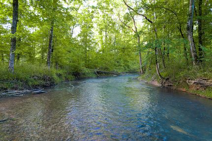 Farm Property in Chattooga County, Georgia