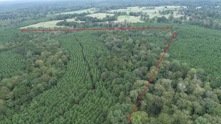 Property for sale in Sabine County, Texas