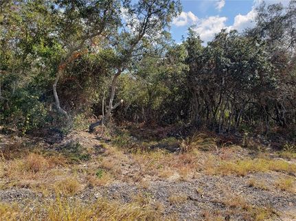 Undeveloped Land in Pinellas County, Florida