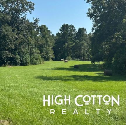 Recreational Property for sale in Claiborne County, Mississippi
