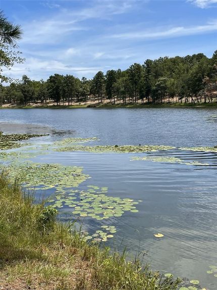 Lakefront Property for sale in Leon County, Texas