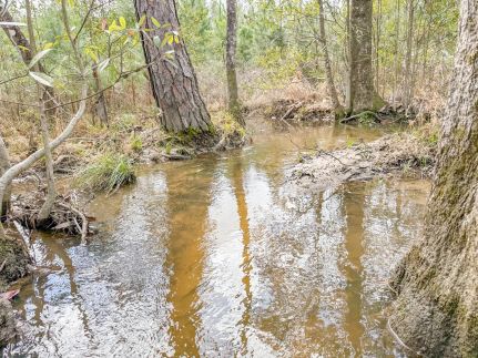 Hunting Land for sale in Holmes County, Florida