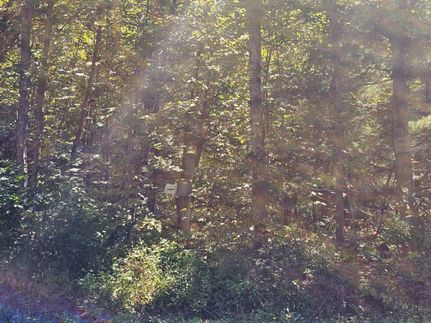 Property for sale in Montgomery County, New York