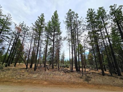 Timberland Property for sale in Klamath County, Oregon