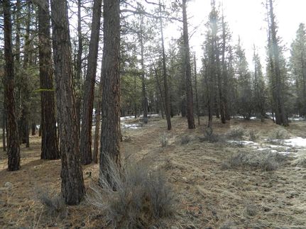 Ranch Property for sale in Klamath County, Oregon
