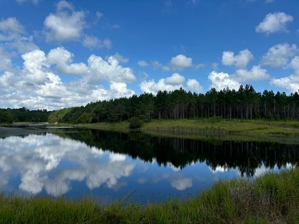 Property for sale in Decatur County, Georgia