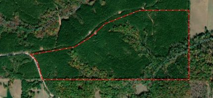 Undeveloped Land for sale in Heard County, Georgia