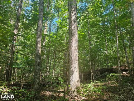 Timberland Property for sale in Winston County, Alabama