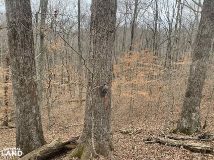 Recreational Property for sale in Metcalfe County, Kentucky