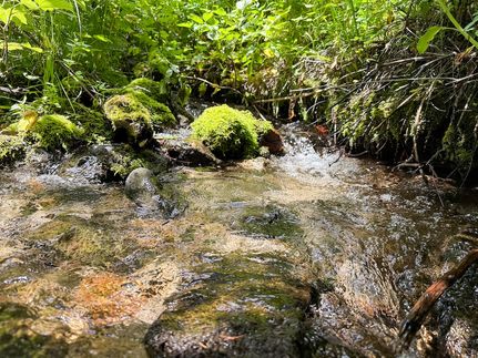 Recreational Property for sale in Jefferson County, Montana