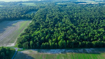 Farm Property in Marion County, Illinois