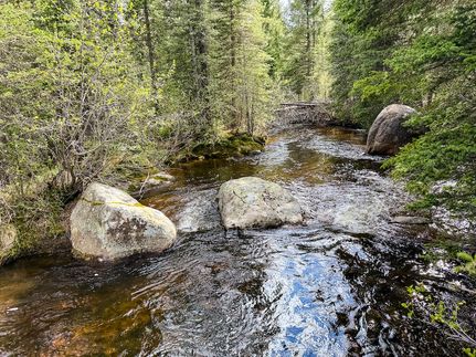 Undeveloped Land for sale in Jefferson County, Montana