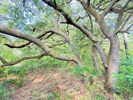 Ranch Property for sale in Williamsburg County, South Carolina