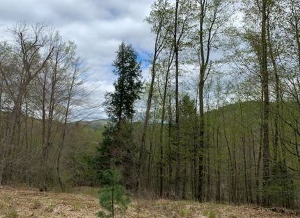 Hunting Land for sale in Warren County, New York