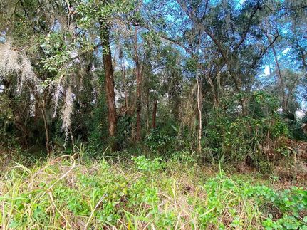 Property for sale in Putnam County, Florida