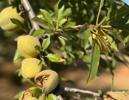 Property for sale in Butte County, California