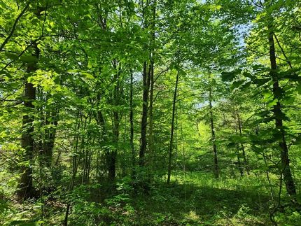 Ranch Property for sale in Chemung County, New York