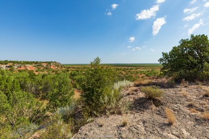 Timberland Property for sale in Stonewall County, Texas