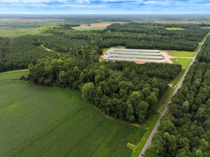 Timberland Property for sale in Duplin County, North Carolina