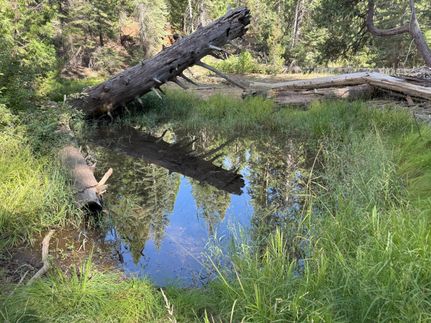 Undeveloped Land for sale in Sierra County, California