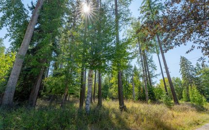 Undeveloped Land for sale in Flathead County, Montana