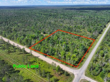 Timberland Property for sale in Lake County, Michigan